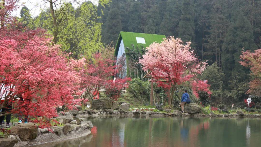 为北京数字经济标杆城市建设献良策