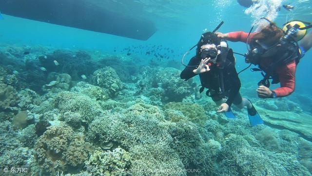美国阿肯色州两名凶杀嫌疑人越狱 执法部门列为“危险人物”追缉