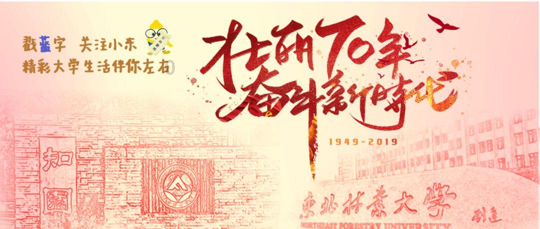 动物记忆大翻牌