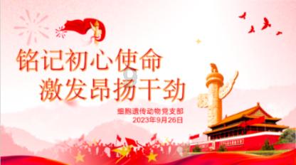 球球大作战下载最新版