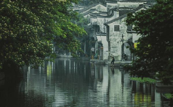 重生之玫瑰豪门