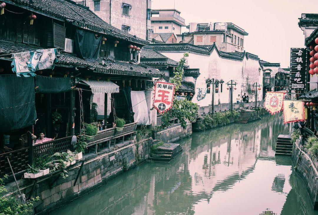 动物帮帮忙保卫家园