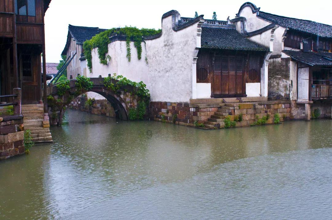 救援小白狼